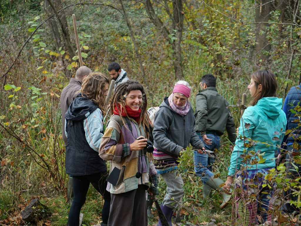 in the woods of Gaia Terra
